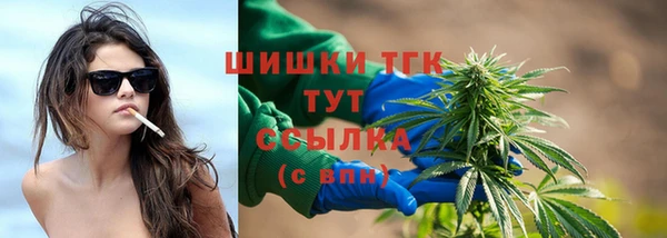 дмт Алексин