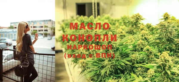 дмт Алексин