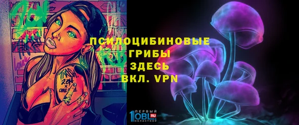 дмт Алексин