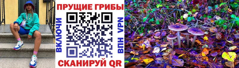 Псилоцибиновые грибы ЛСД  Кудрово 