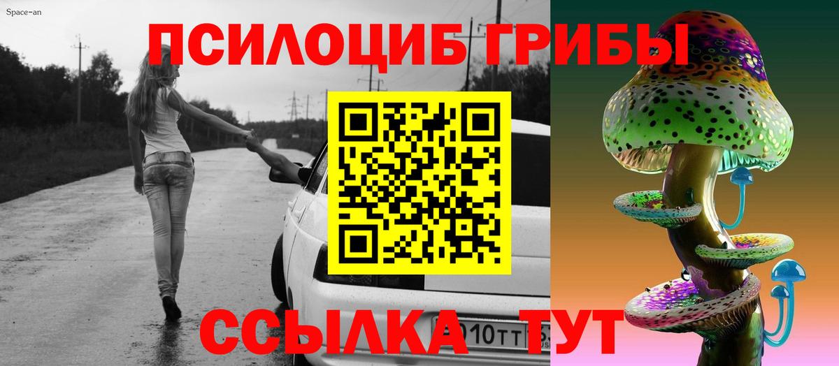 Псилоцибиновые грибы Psilocybine cubensis  Галлюциногенные грибы прущие грибы  Кудрово  Вход с VPN 