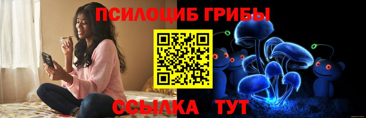 Галлюциногенные грибы Psilocybe Кудрово