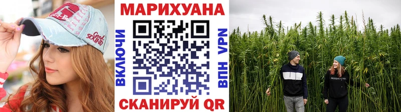 Бошки Шишки сатива Кудрово